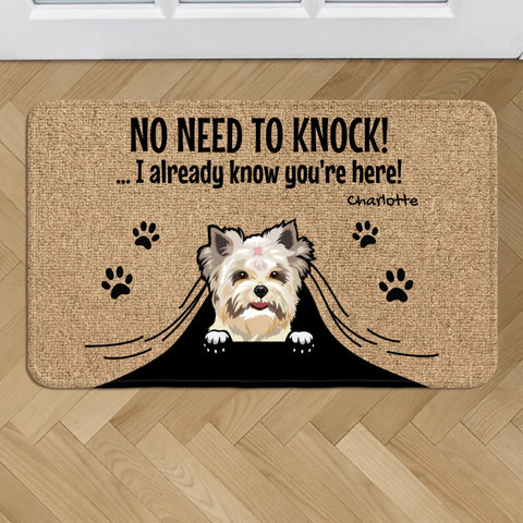 Personalized Doormat With Dog or Cat - No Need To Knock - Featured Image