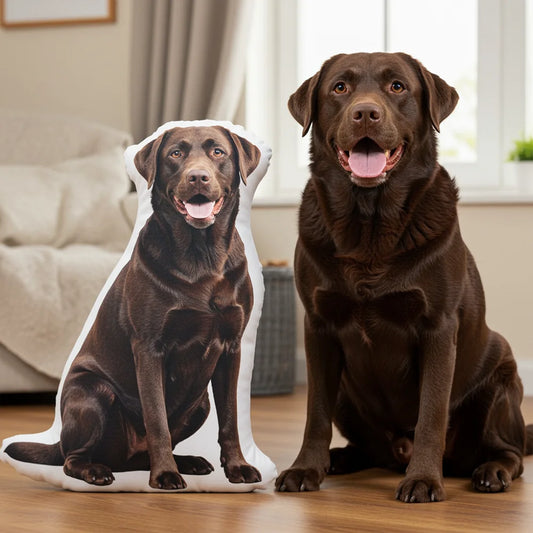 Personalized Shape Pillow - Your Photo